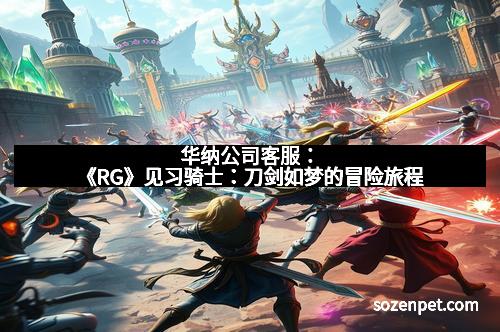 华纳公司客服：《RG》见习骑士：刀剑如梦的冒险旅程